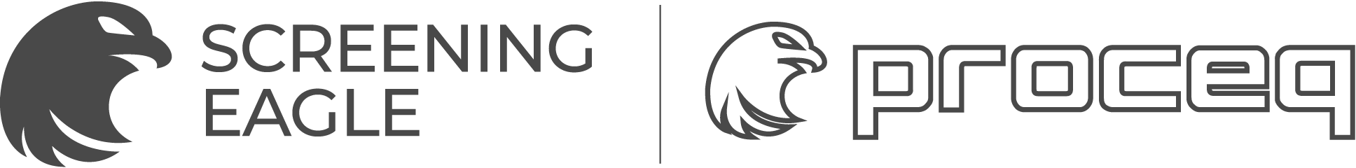Logo Screening Eagle